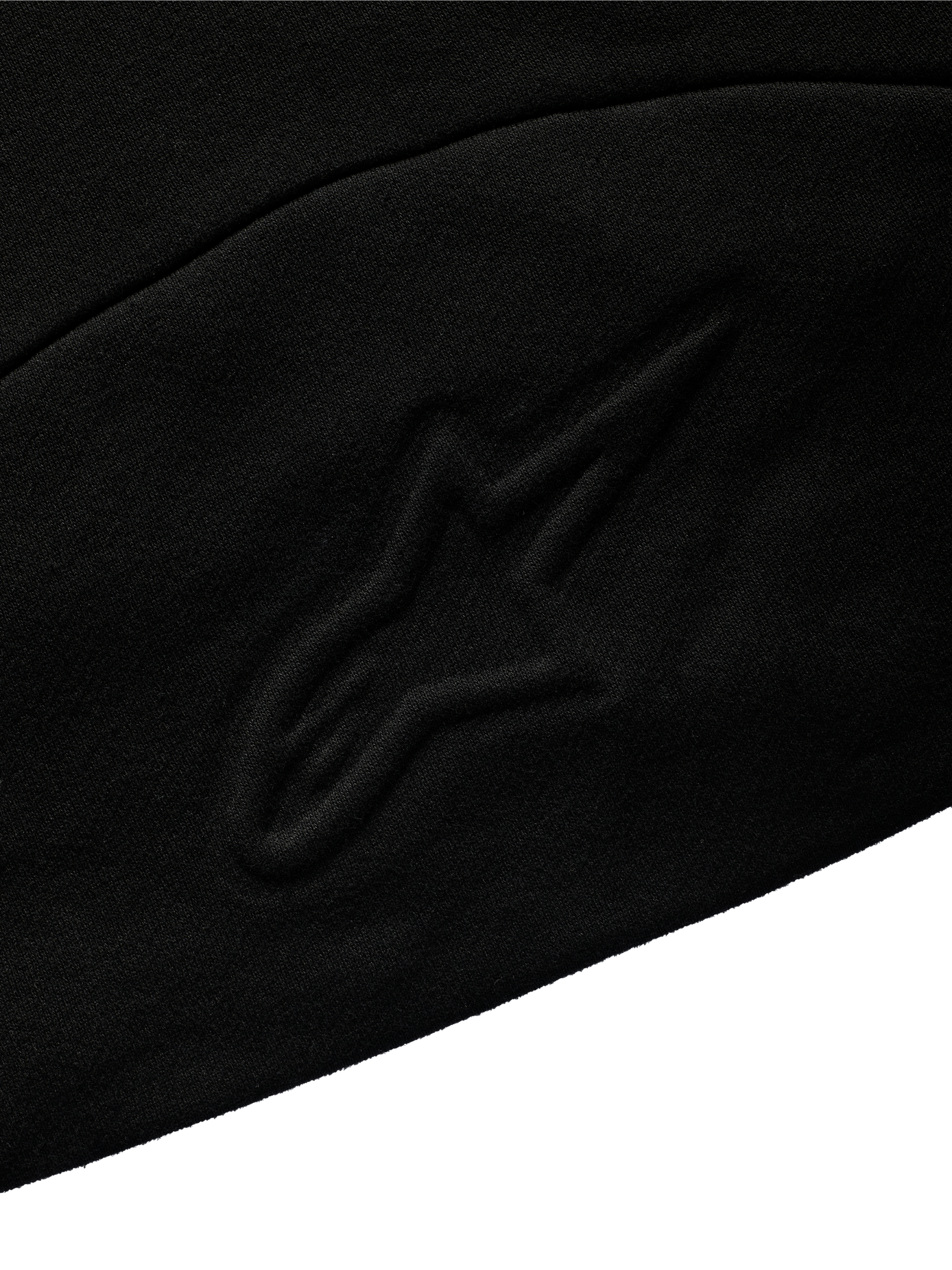 Champion Sweatshirt